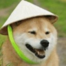 DogeKK
